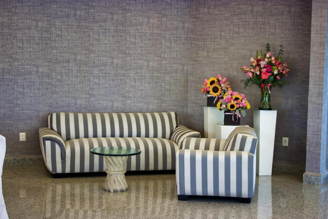 San Juan Park Hotel San Juan del Río Exterior foto A sofa and armchair
