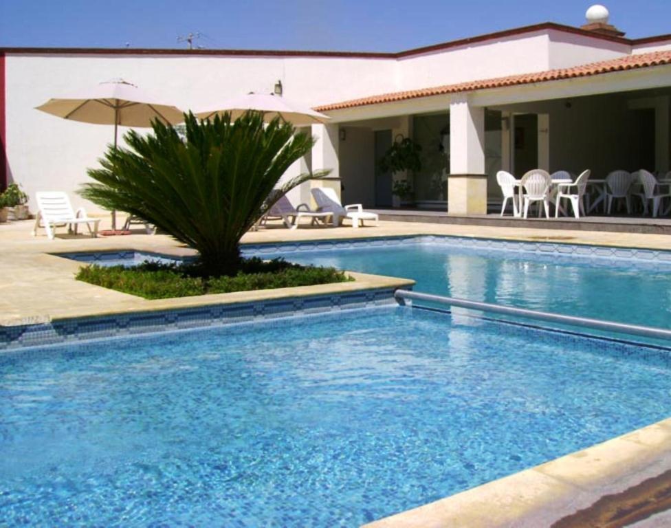 San Juan Park Hotel San Juan del Río Exterior foto A swimming pool